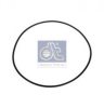 PE 0299975748 Seal Ring
